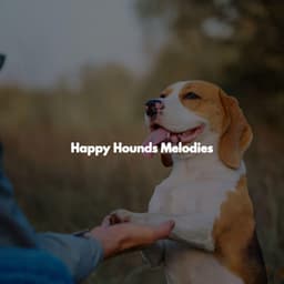 Happy Hounds Melodies - Monday Morning Jazz Playlist
