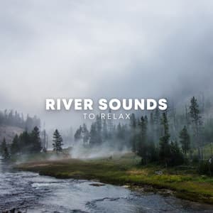 River Sounds To Relax - Rain Sounds & Nature Sounds