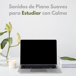 Sonidos De Piano Suaves Para Estudiar Con Calma - Lista de reproducción de piano clásico