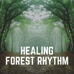 Healing Forest Rhythm - Sounds of Nature Noise