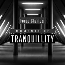 Moments of Tranquillity - Focus Chamber