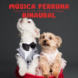 Música Perruna Binaural Para El Mejor Amigo Del Hombre - Serenidad Academy