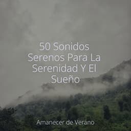 50 Sonidos Serenos Para La Serenidad Y El Sueño - Ambiente