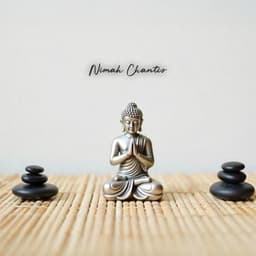 Anicca Impermanence - Nimah Chantis