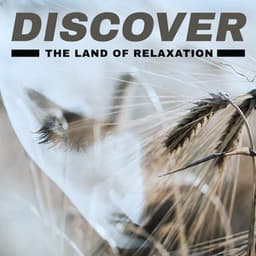 Discover the Land of Relaxation - Take a Deep Breath, Get Rid of Stress, Feel Endless Harmony, Release Your Emotions - Relaxation New Age Melodies
