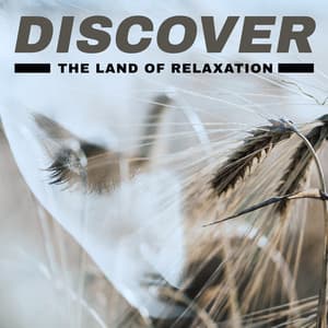 Discover the Land of Relaxation - Take a Deep Breath, Get Rid of Stress, Feel Endless Harmony, Release Your Emotions - Relaxation New Age Melodies