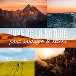 Sons de la nature pour soulager le stress: Ambiance paisible pour spa, Yoga et détente, Musique zen relaxante - Oasis de Musique Nature Relaxante