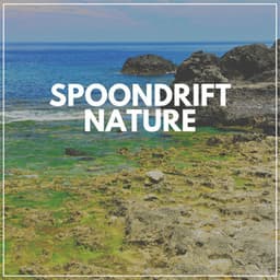 Spoondrift Nature - Nature Label