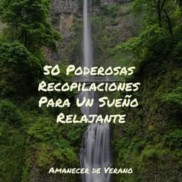 50 Poderosas Recopilaciones Para Un Sueño Relajante - Sonidos De Truenos y Lluvia