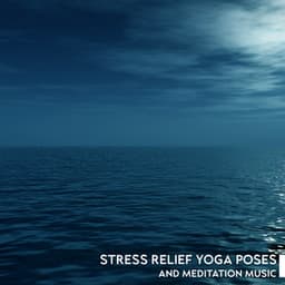 Stress Relief Yoga Poses and Meditation Music to Fall Asleep: Self-Awareness, Sleep is the Best Meditation, Calm Sleeping Music - Relax Yoga Music Meditation
