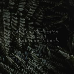 50 Zen Meditation and Zen Meditation Sounds - Meditación Guiada