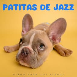 Patitas De Jazz: Piano Para Tus Perros - Jazz instrumental de fondo