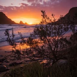 Lofi Vibes for Restful Moods - Harp Relaxation