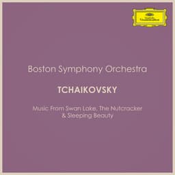 Boston Symphony Orchestra plays Tchaikovsky - Pyotr Ilyich Tchaikovsky
