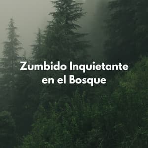 Zumbido Inquietante En El Bosque - Sonidos Del Bosque
