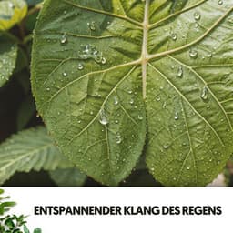 Entspannender Klang des Regens: Melodien vom Himmel - Dog Relaxation