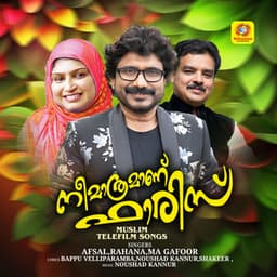 Nee Mathramanu Faaris - Afsal