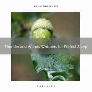 Thunder and Woods Whispers for Perfect Sleep - Wave Sounds For Sleep