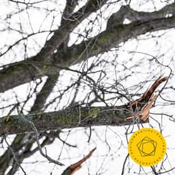 Rachmaninoff: Symphony No. 2 - Sergei Rachmaninoff