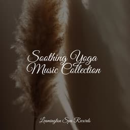 Soothing Yoga Music Collection - Thunder Storm