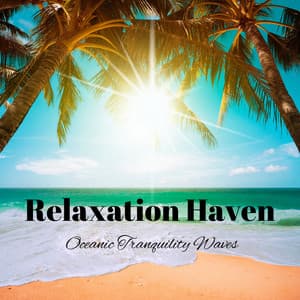 Relaxation Haven: Oceanic Tranquility Waves - Ocean Waves