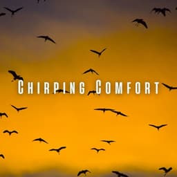 Chirping Comfort: Calming Birds and Chill Sounds for Soothing Cats - Noise Radio 1