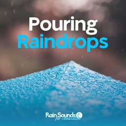 Pouring Raindrops - Rain Sounds for Relaxation