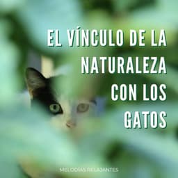 El Vínculo De La Naturaleza Con Los Gatos: Melodías Relajantes - Inicio de la primavera