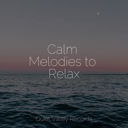 Calm Melodies to Relax - Unforgettable Paradise SPA Music Academy