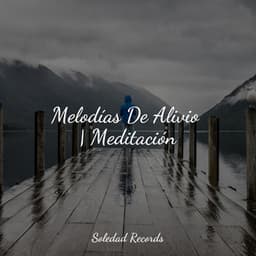 Melodías De Alivio | Meditación - Academia de Meditação Buddha