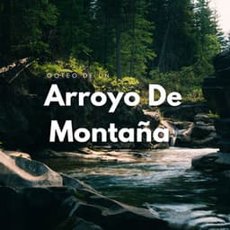 Goteo De Un Arroyo De Montaña - Sonido del Agua Ruido Blanco Natural
