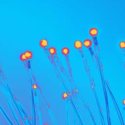 Inspiring Background for Studying Legends - Jazz Vibe Chill Out