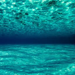 10 Chakras: Frequent Waves - Ocean Sounds