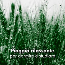 Pioggia rilassante per dormire e studiare: musica new age, rilassante natura - Pioggia rilassante