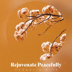 Rejuvenate Peacefully - Acoustic Hits
