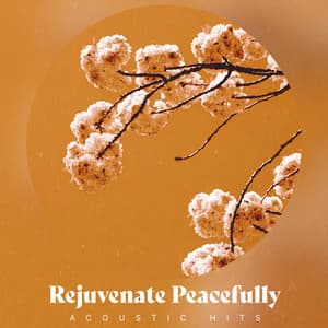 Rejuvenate Peacefully - Acoustic Hits