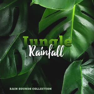 Jungle Rainfall - Rain Sounds Collection