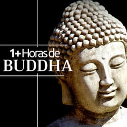 1+ Horas de Buddha - los Mejores Sonidos Relajantes para la Meditación com Flauta - Reiki Armonía