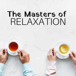 The Masters of Relaxation - Area Zen