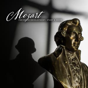 Mozart for Brain Development, Study & Work - Deep Concentration Project