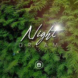 Night Dream - Heavy Rain Sounds