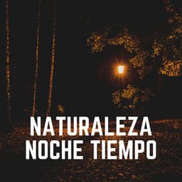 Naturaleza Noche Tiempo - Sonidos de la Naturaleza para Dormir