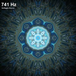 741 Hz Full Body Detox Meditation Music - Solfeggio Source