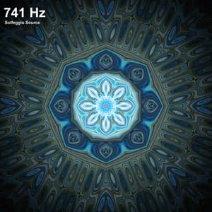 741 Hz Full Body Detox Meditation Music - Solfeggio Source