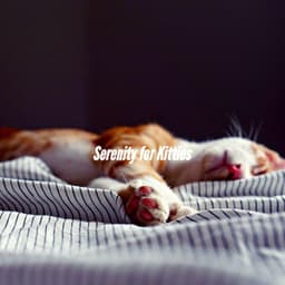 Serenity for Kitties - Hotel Lobby Jazz Group