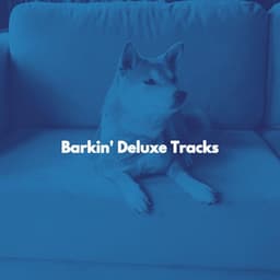 Barkin' Deluxe Tracks - Jazz Rilassante Primo