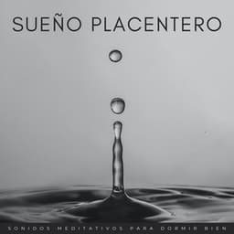 Sueño Placentero: Sonidos Meditativos Para Dormir Bien - Meditación del sueño