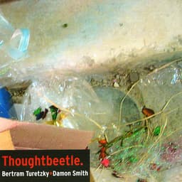 Thoughtbeetle - Bertram Turetzky