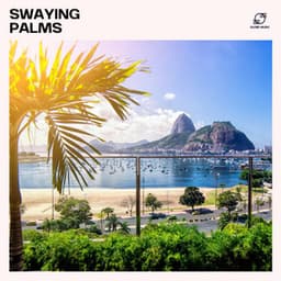 Swaying Palms - Bossa Cafe en Ibiza