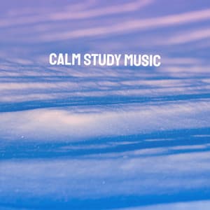 Calm Study Music - Classical Study Music